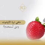 ماهي ابرة الاوشوت